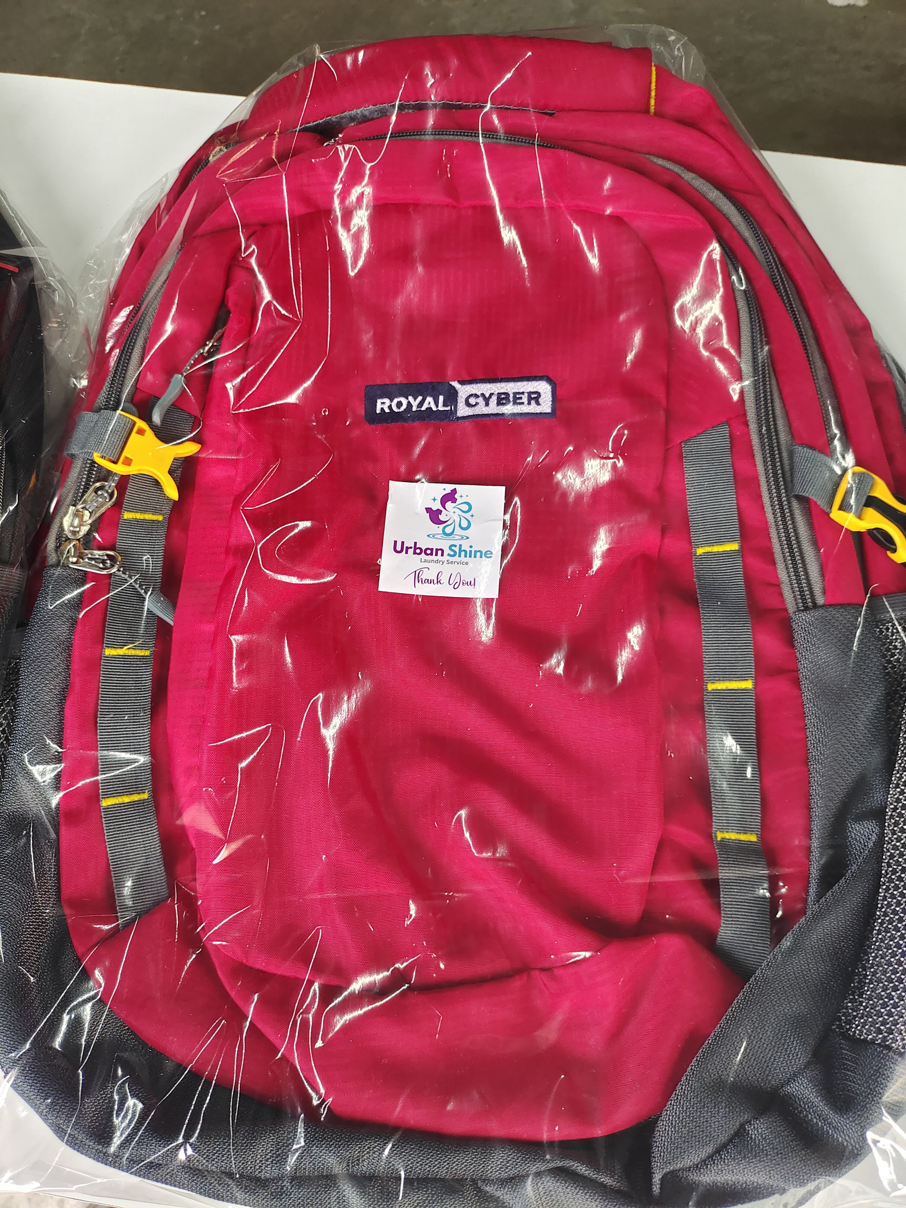 Bags Laundry Service starts from ₹200 per piece
